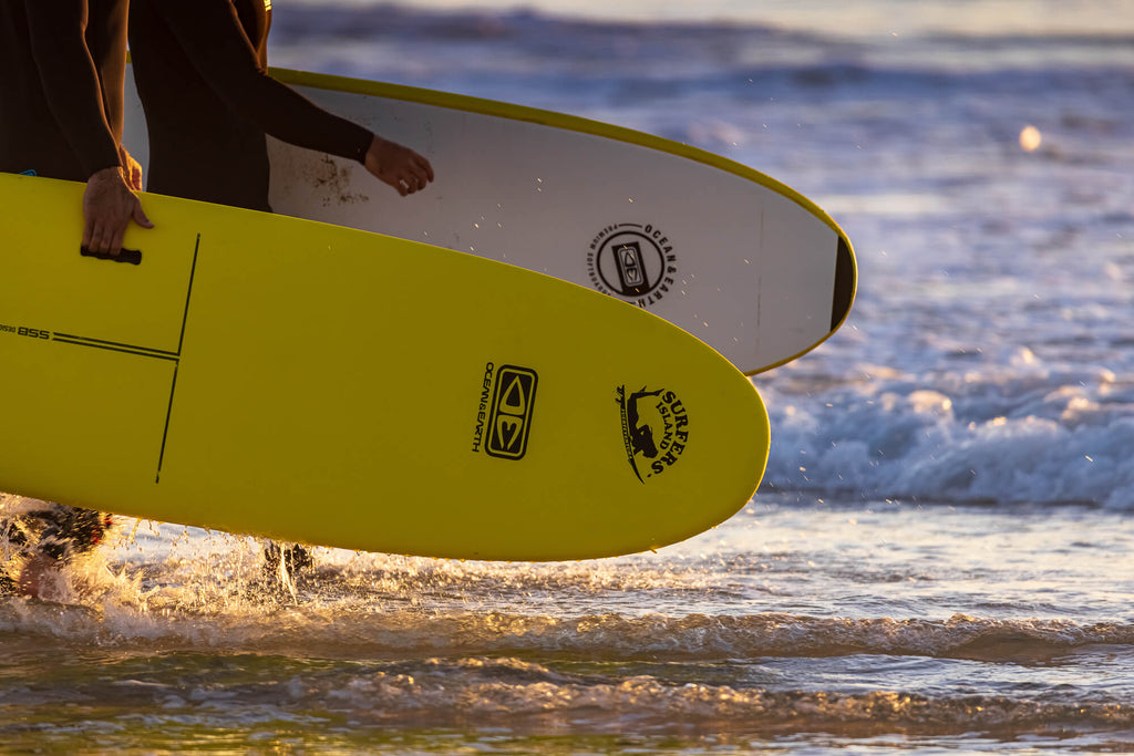 Surf Rental Surf Rental from €15 » Transfer Service possible